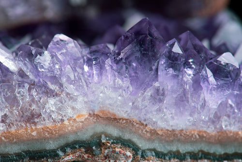 Amethyst raw crystal cluster close-up — deep purple points of the calm stone
